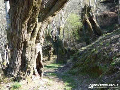 Sierra del Caurel (Serra do Courel) viajes en agosto viajes septiembre rutas cerca de madrid